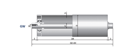 Schwerkraftrolle für mittelschwere Ladungen und Belastungen RT2-50-12-M8